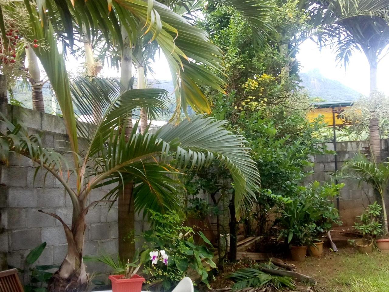 Corner Bay Apartments Beau Vallon,Mahe Victoria Bagian luar foto
