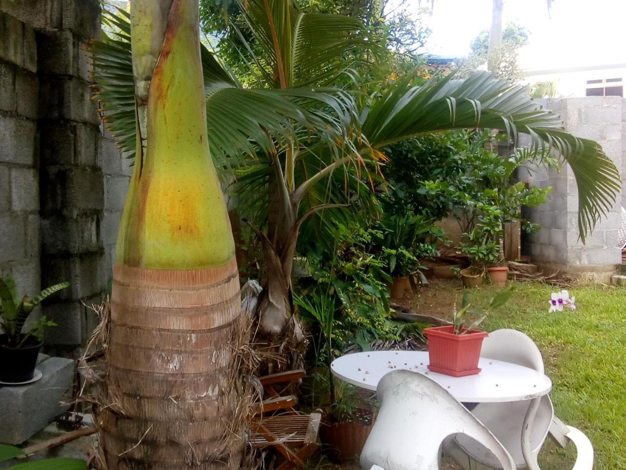 Corner Bay Apartments Beau Vallon,Mahe Victoria Bagian luar foto